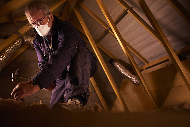 Best Insulation Maintenance and Repair in Steele, AL
